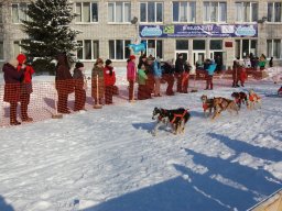 Koiravaljakkokisat 